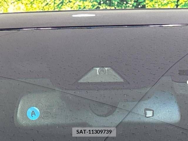 Toyota ALPHARD 2020-10 333410-4