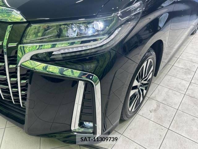 Toyota ALPHARD 2020-10 333410-13