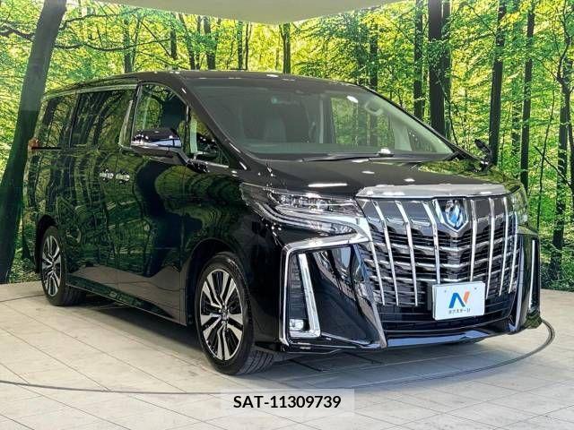 Toyota ALPHARD 2020-10 333410-17