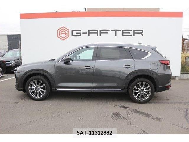 Mazda CX-8 2019-06 223297-8