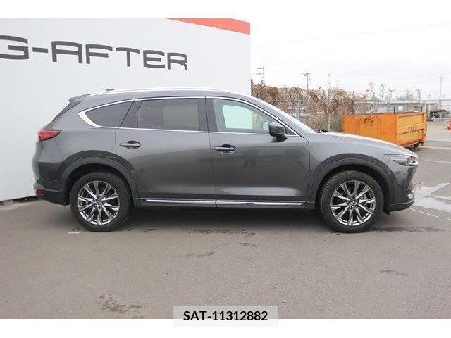 Mazda CX-8 2019-06 223297-6