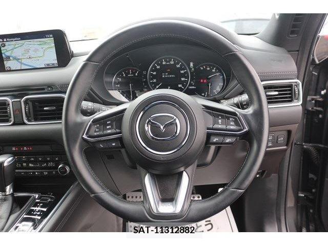 Mazda CX-8 2019-06 223297-14