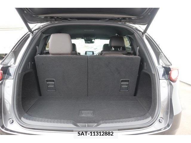Mazda CX-8 2019-06 223297-16