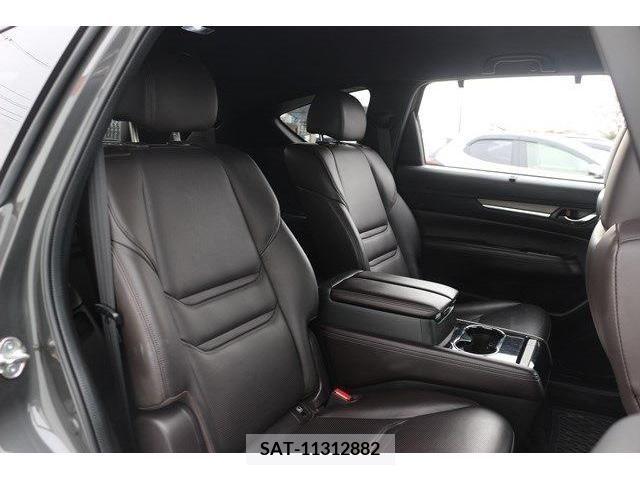 Mazda CX-8 2019-06 223297-13