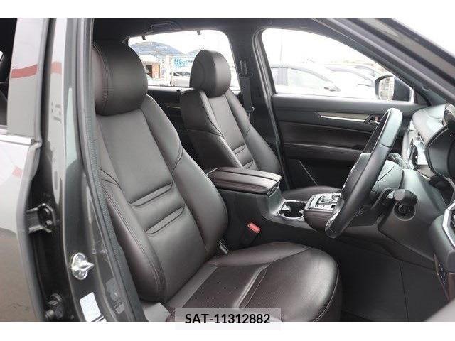 Mazda CX-8 2019-06 223297-12