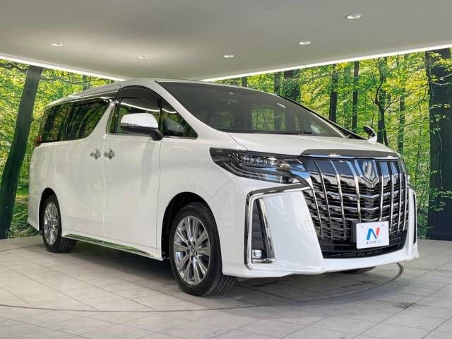 Toyota ALPHARD 2022-01 181186-17