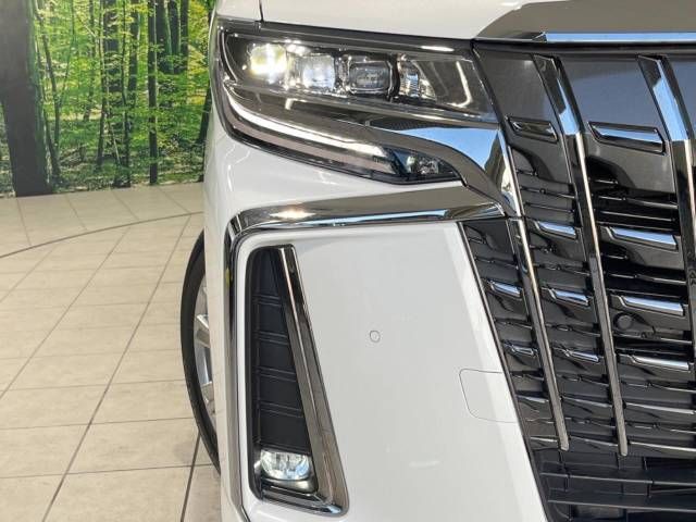Toyota ALPHARD 2022-01 181186-13