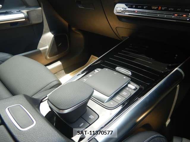 Amg A-Class 2021-11 356065-18