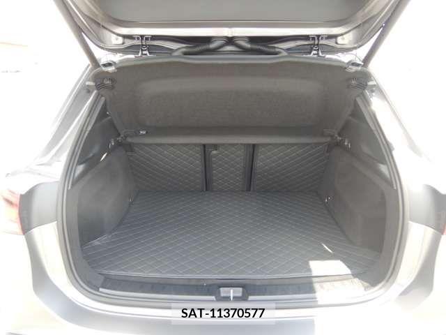 Amg A-Class 2021-11 356065-29