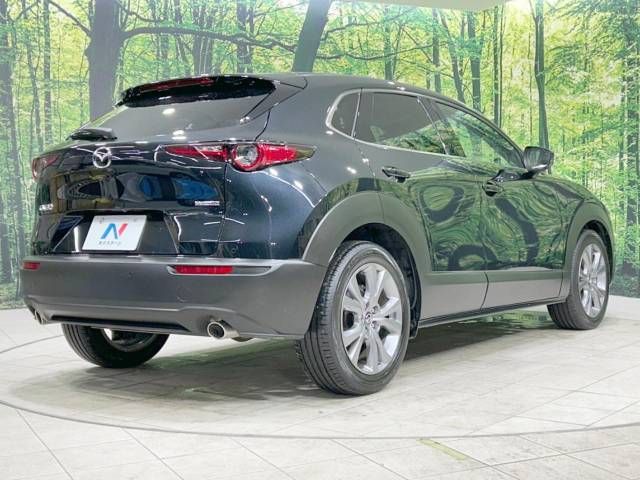 Mazda CX-30 2023-03 195368-17