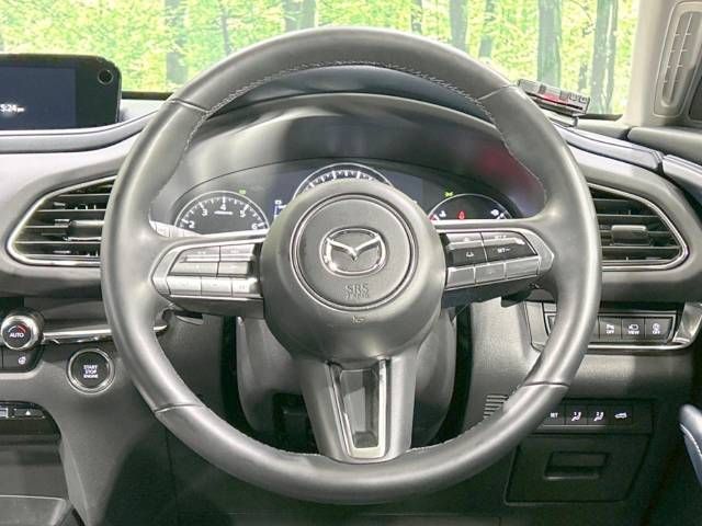 Mazda CX-30 2023-03 195368-11
