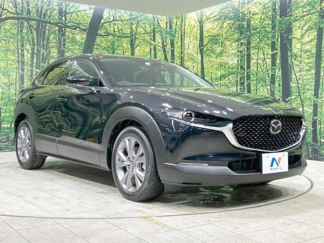 Mazda CX-30 2023-03 195368-16