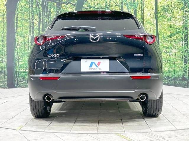 Mazda CX-30 2023-03 195368-15