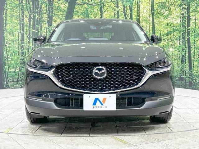 Mazda CX-30 2023-03 195368-14