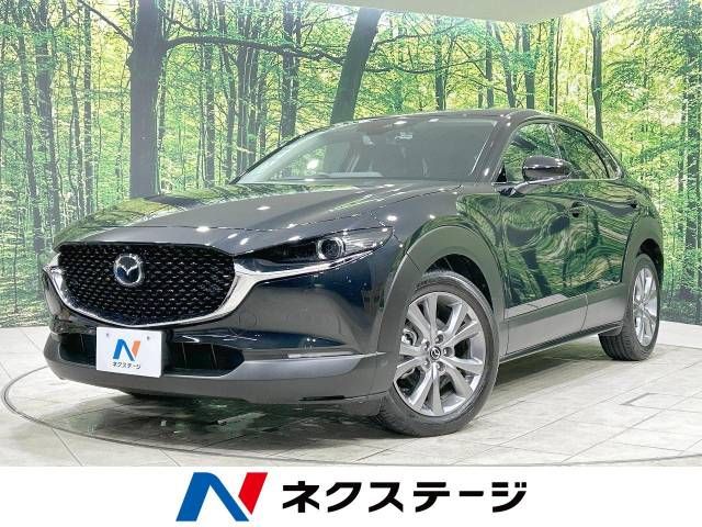 Mazda CX-30 2023-03 195368-0