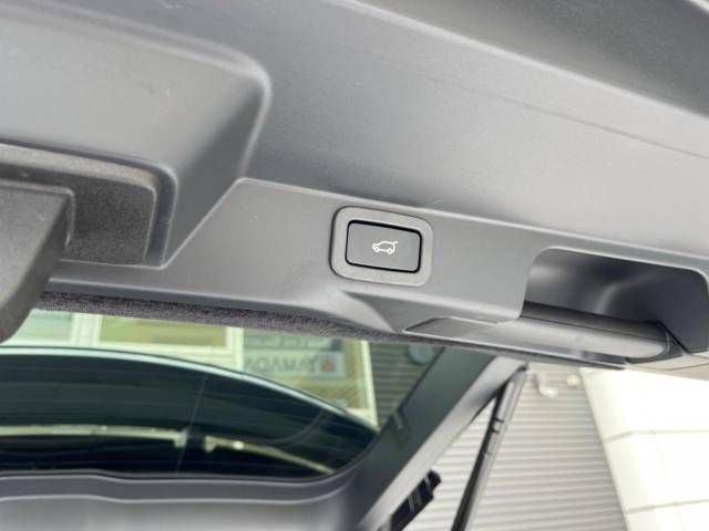ROVER RANGE ROVER 2020-06 25575-9