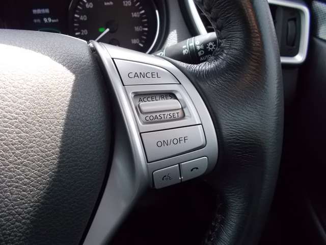 Nissan X-TRAIL 2017-05 23393-8