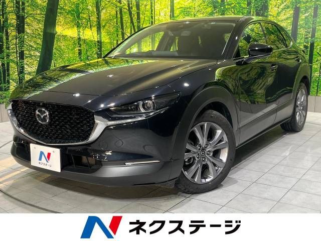 Mazda CX-30 2023-03 196133-0