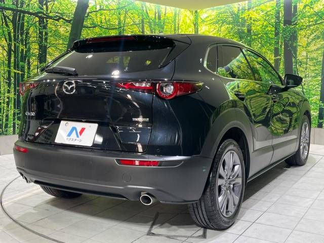 Mazda CX-30 2023-03 196133-18
