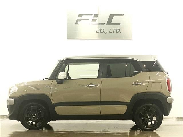 Suzuki X BEE 2018-06 14698-2