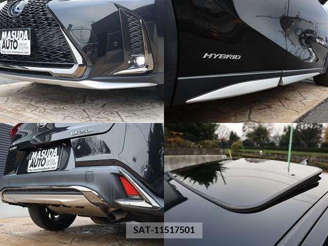 Lexus UX 2020-05 205941-27