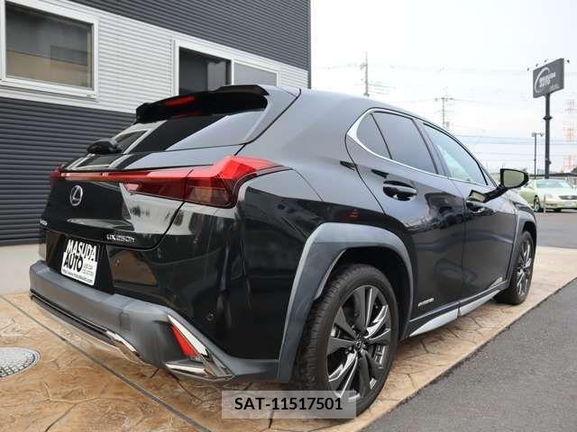 Lexus UX 2020-05 205941-6