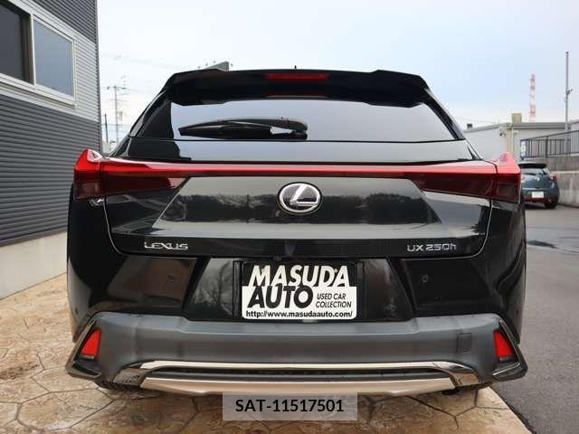 Lexus UX 2020-05 205941-5