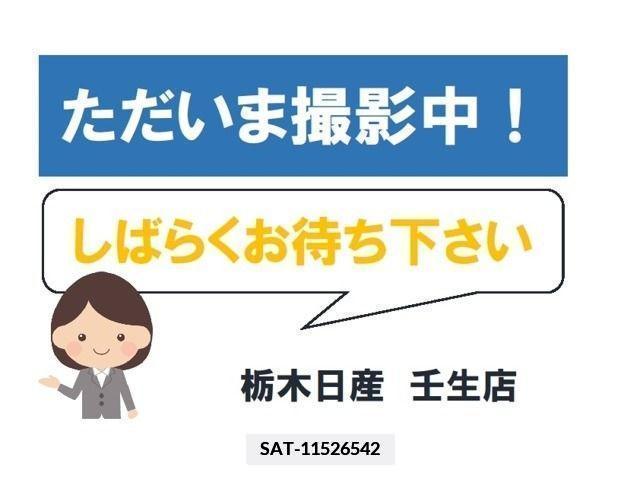 Nissan LEAF 2019-03 334865-0