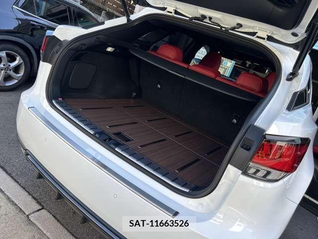 Lexus RX 2021-07 397127-19
