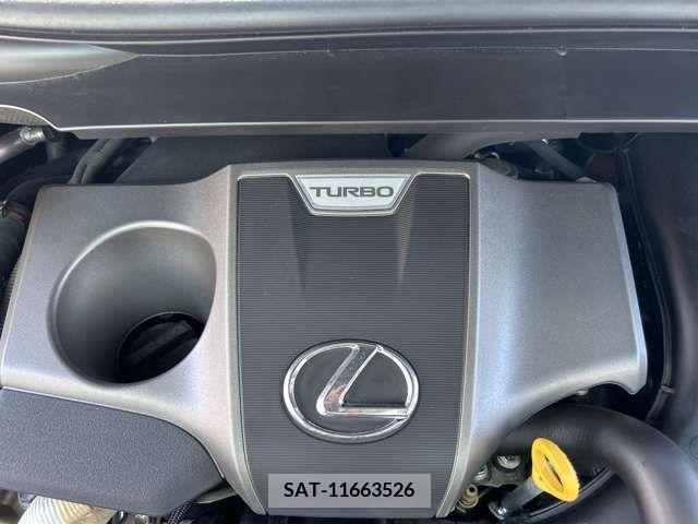 Lexus RX 2021-07 397127-15