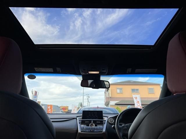 Lexus NX 2015-12 8483-5