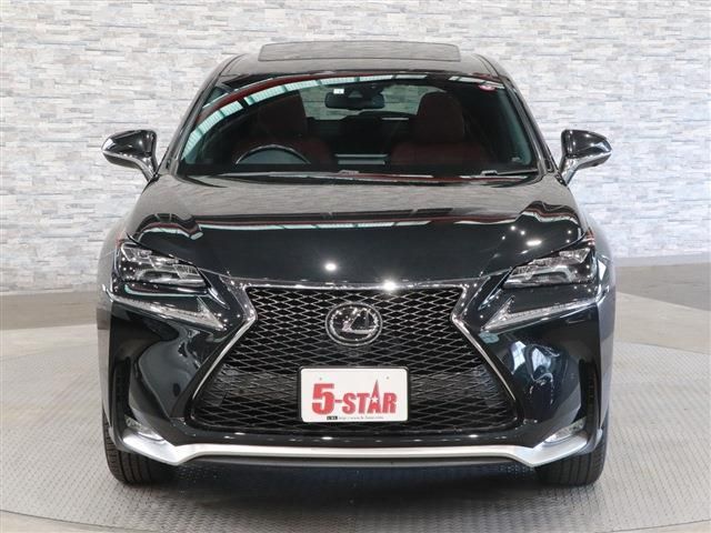 Lexus NX 2015-12 8483-7