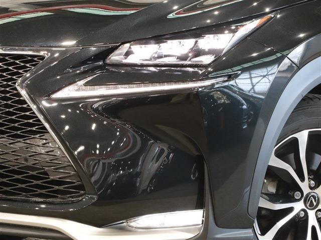 Lexus NX 2015-12 8483-10