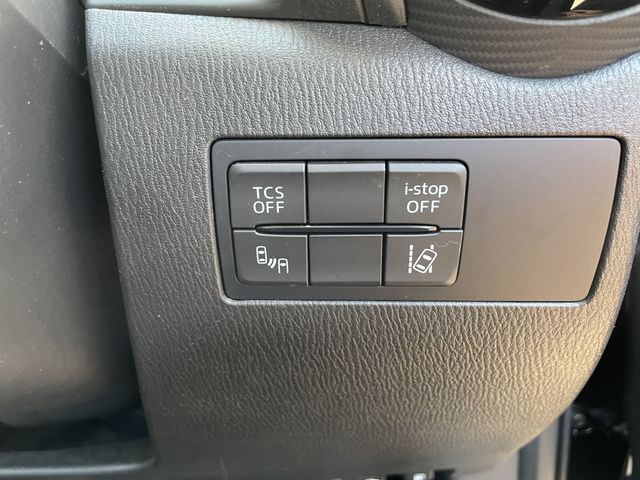 Mazda CX-3 2015-03 2844-19