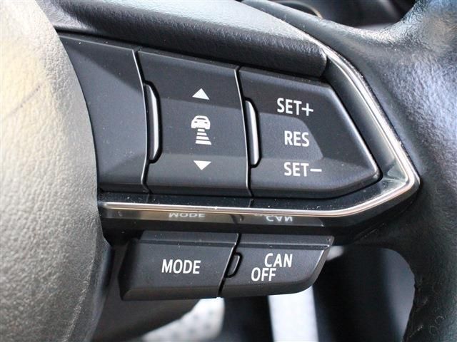 Mazda DEMIO 2017-06 11277-3