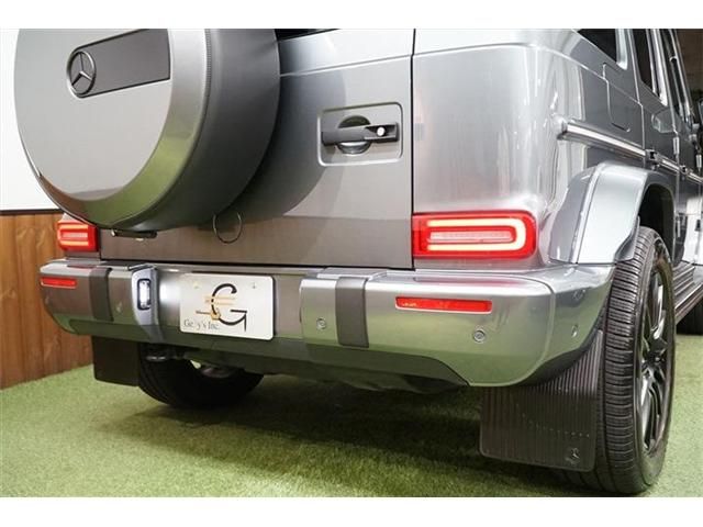 Mercedes Benz G-CLASS 2019-09 187071-15