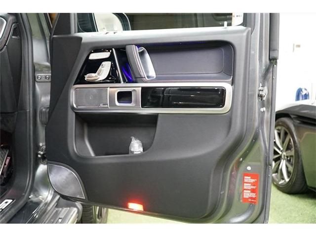 Mercedes Benz G-CLASS 2019-09 187071-19
