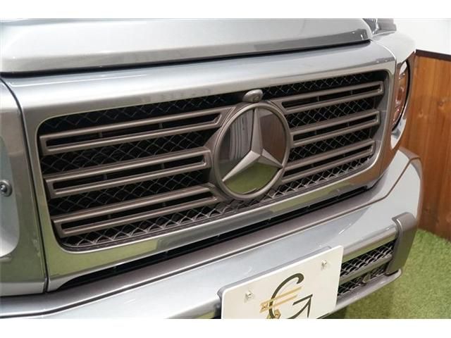 Mercedes Benz G-CLASS 2019-09 187071-4