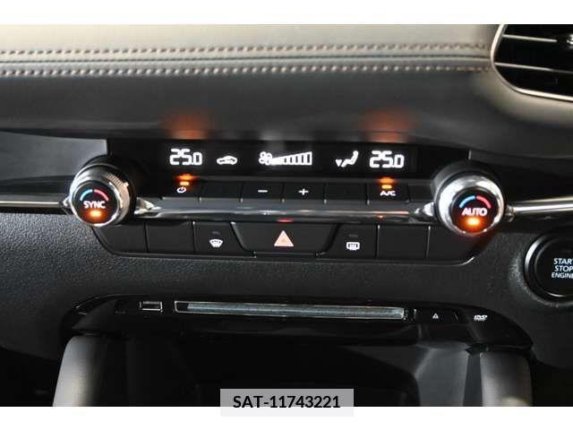 Mazda MAZDA3 2020-10 373708-10