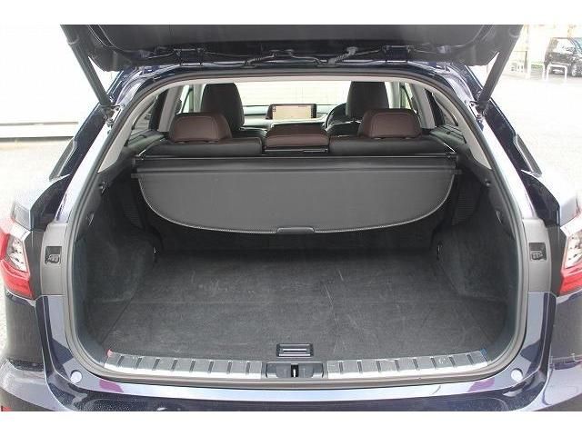 Lexus RX 2016-05 6917-17