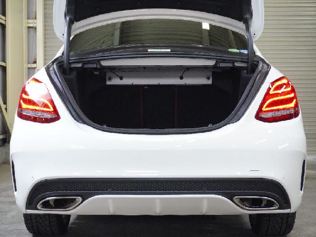 Mercedes Benz C-CLASS 2018-03 24869-6