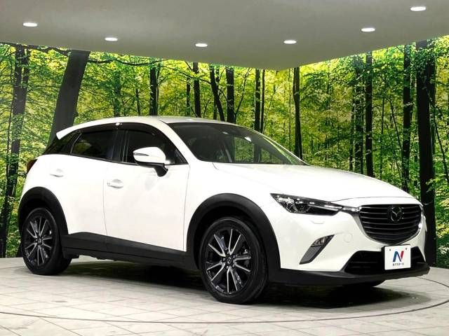 Mazda CX-3 2017-04 10783-16