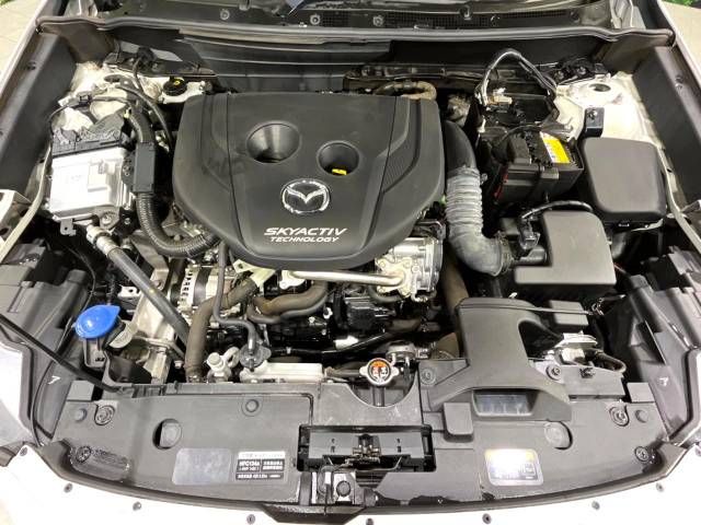 Mazda CX-3 2017-04 10783-18