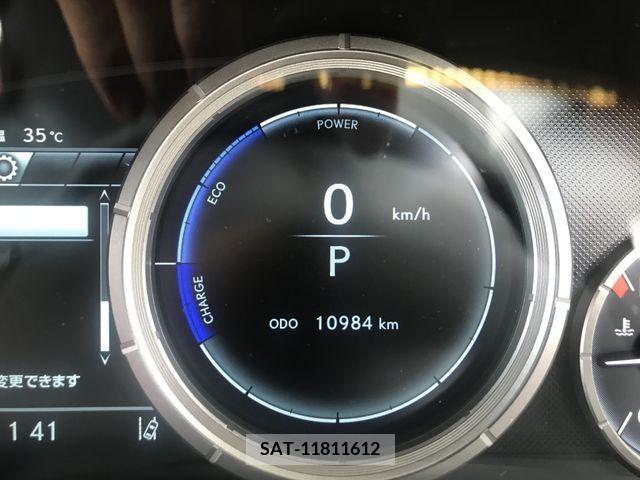 Lexus RX 2018-09 388239-13