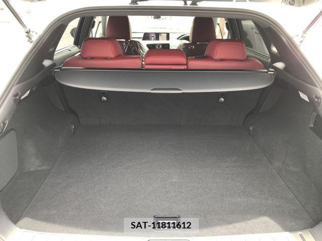Lexus RX 2018-09 388239-23