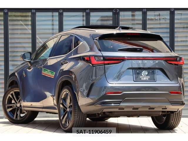 Lexus NX 2021-12 275721-11