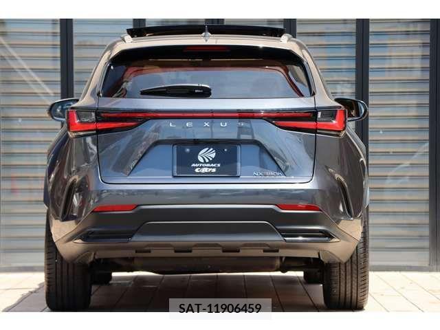 Lexus NX 2021-12 275721-10