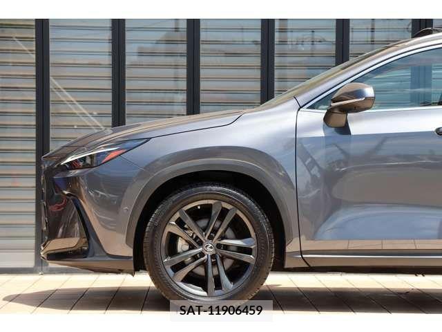 Lexus NX 2021-12 275721-13
