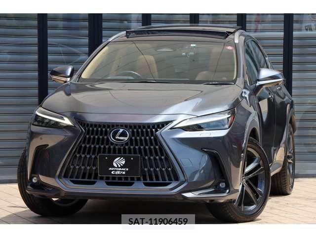 Lexus NX 2021-12 275721-19