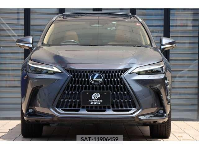 Lexus NX 2021-12 275721-5